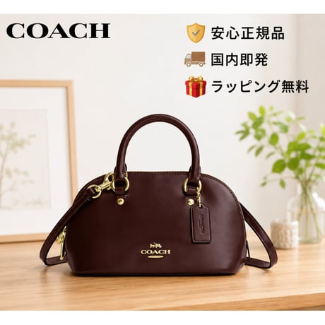 🎀COACH コーチ ララ ミニ サッチェル バッグ　CEA01 IMMPL