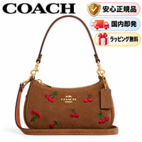 🎀COACH   コーチ　テリ ミニ クロスボディ バッグ・チェリー エンブロイダリー　CFN72 IMZAX