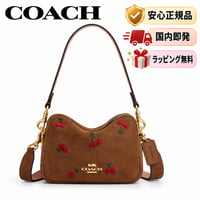 🎀COACH　コーチ　ミニ キャリー クロスボディ バッグ・チェリー エンブロイダリー　CFO49 IMZAX