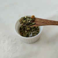 ハーブティ　芽吹き
