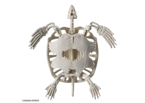 バンダイ プラノサウルス アーケロン（プラノサウルス ガチコセイブツ部 09）【新商品】 【20%OFF】