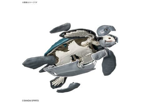 バンダイ プラノサウルス アーケロン（プラノサウルス ガチコセイブツ部 09）【新商品】 【20%OFF】