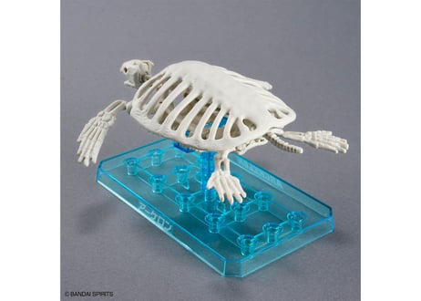 バンダイ プラノサウルス アーケロン（プラノサウルス ガチコセイブツ部 09）【新商品】 【20%OFF】