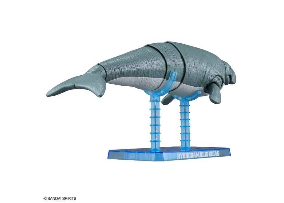 6a80194638b3a564e987865a