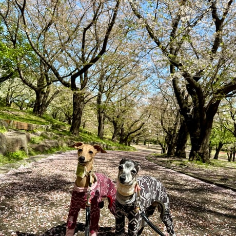 ジャカードカバーオール