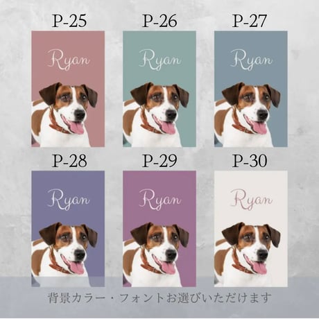 《うちの子専用名刺》✳︎枚数追加は下記の選択肢よりお選びください