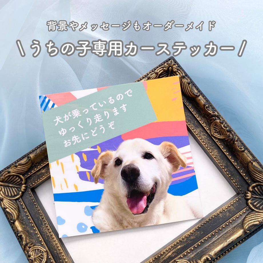 6a5830516d85d7167ad041c5