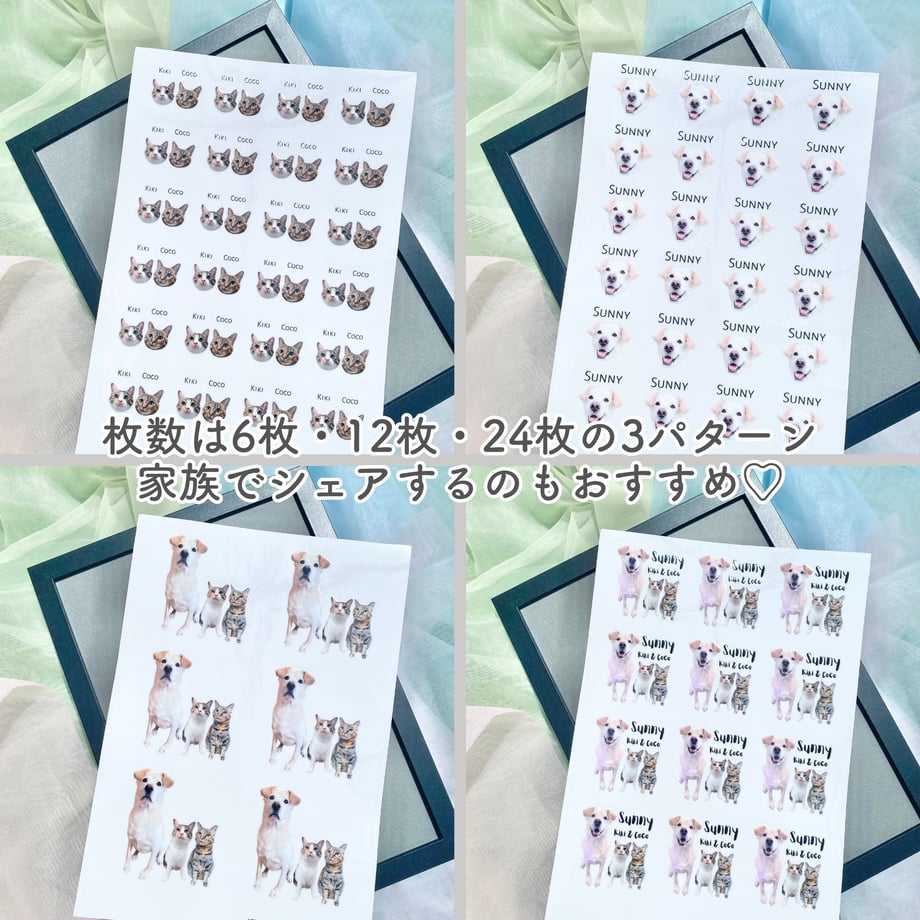 6a55c43fdba437384c7d2f28