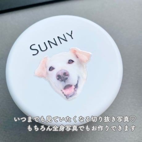 《うちの子専用トリーツ缶・耐水転写シールつき》