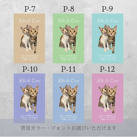 《うちの子専用名刺》✳︎枚数追加は下記の選択肢よりお選びください