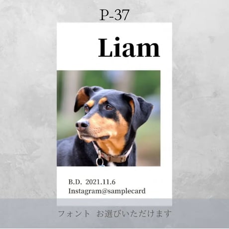 《うちの子専用名刺》✳︎枚数追加は下記の選択肢よりお選びください