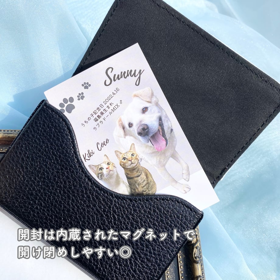 6a597666e0a19e4b9b6a579f