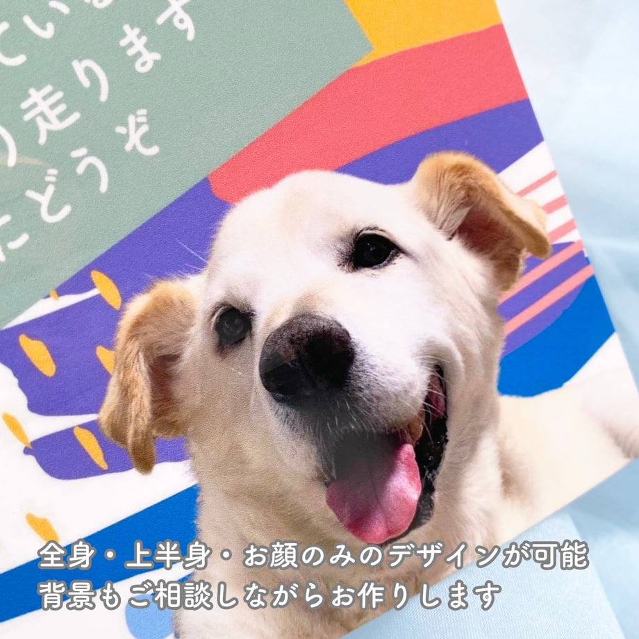 6a5830516d85d7167ad041c5