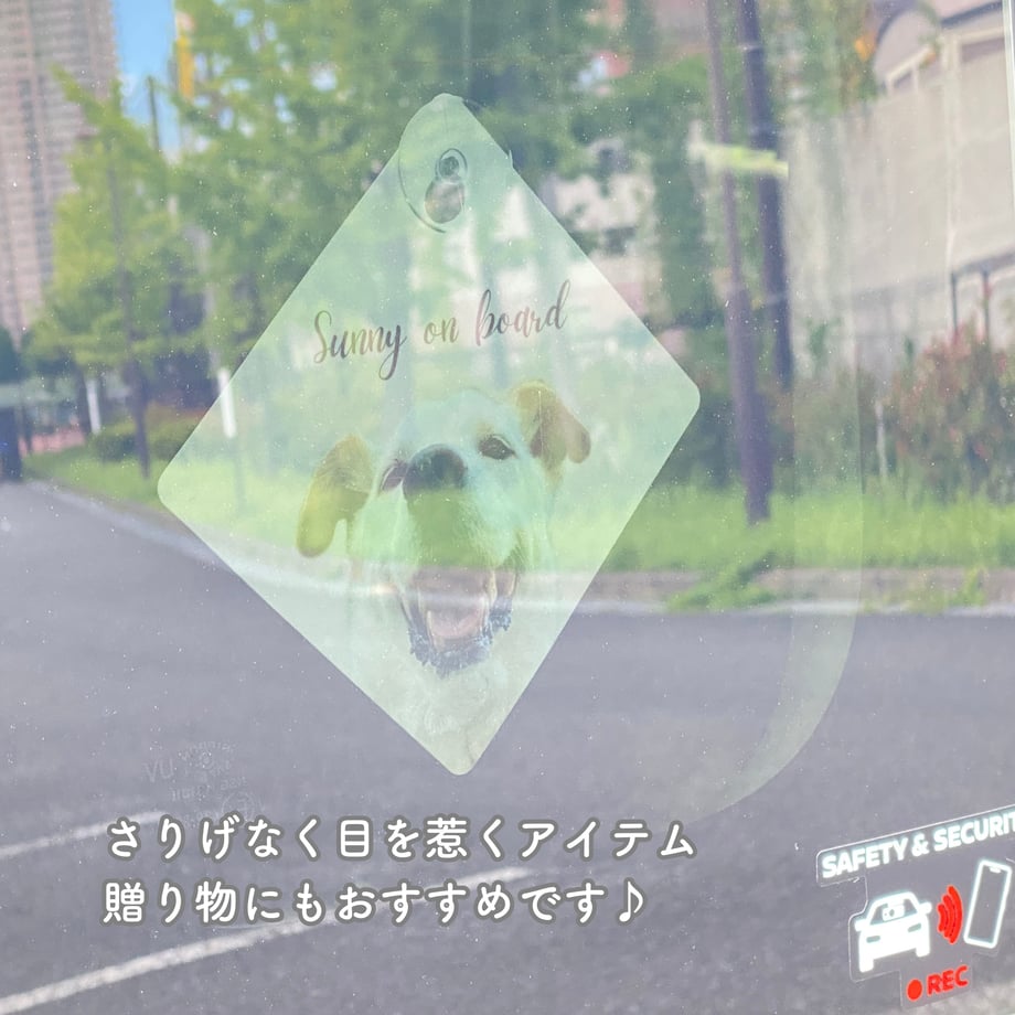 6a582f88eb6dbe1877552b3a
