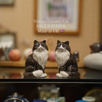 🇬🇧 Vintage Ceramic Cat SALT & PEPPER - イギリスの陶器の塩胡椒入れ