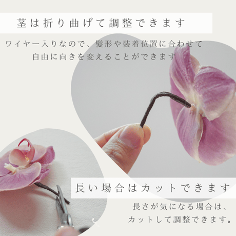 ボディーフラワー/ 青いコスモス