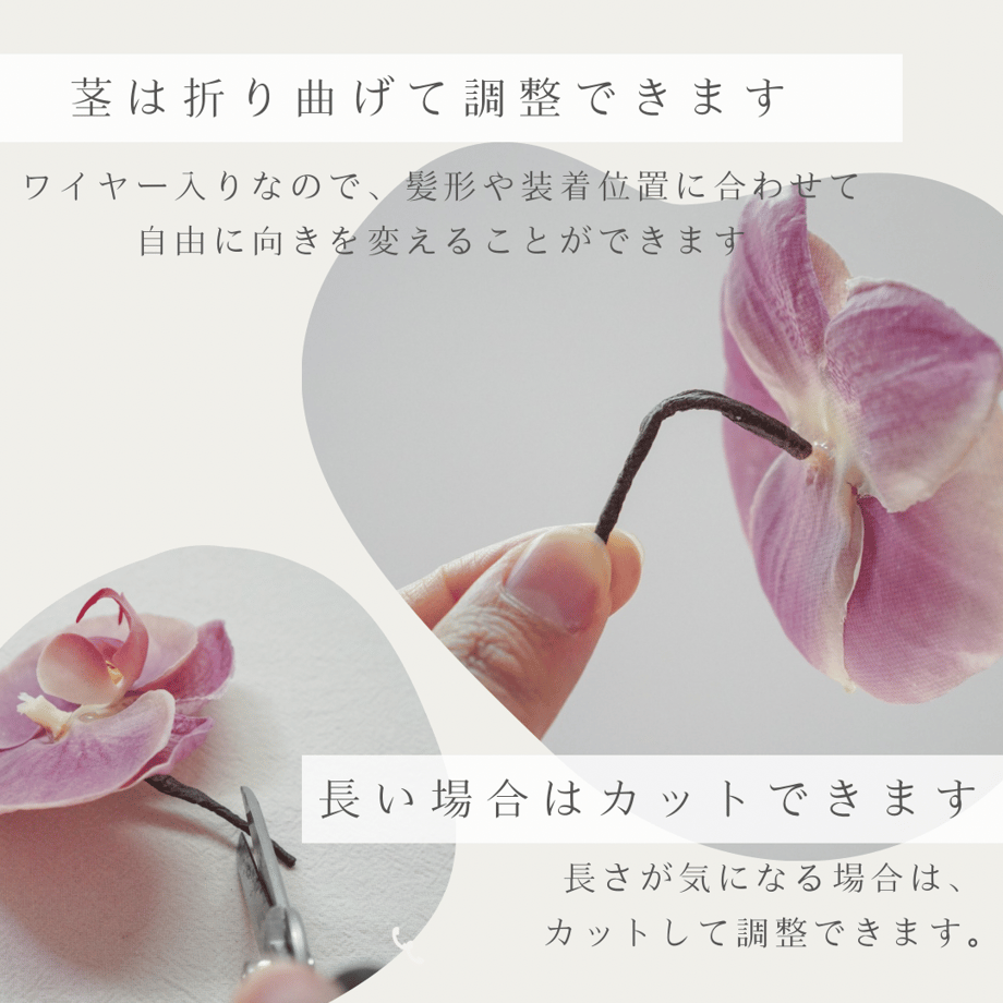 6a97d18be080d953d2d41fc5