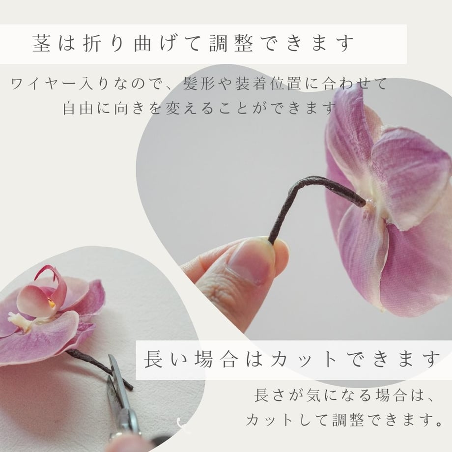 6a66e72053ebeb277fb72ff9