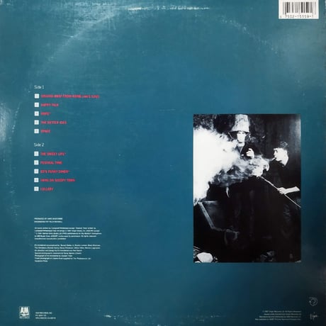 【LP】 It's Immaterial / Life's Hard And Then You Die
