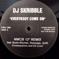 【12】 DJ Skribble / Everybody Come On