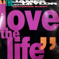 【12】 The james Taylor Quartet Feat Noel Mckoy / Love The Life