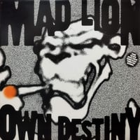 【12】 Mad Lion / Own Destiny