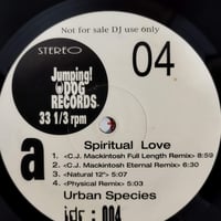 【12】 VA / Jumping Dog Records 04 / Urban Species