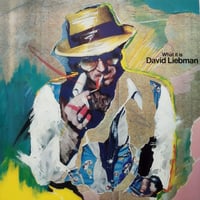 【LP】 David Liebman / What It Is ( 25AP1765 )