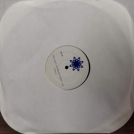 【12】 Unknown Artist ( Police / Sting ) / You Can't Go Wrong Remix ( MX-35A )