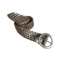 Metallic Woven Belt