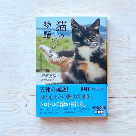 necoya books web store