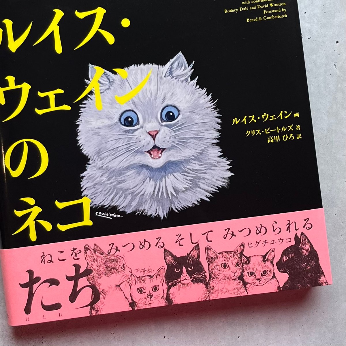 ルイス・ウェインのネコたち | necoya books web store