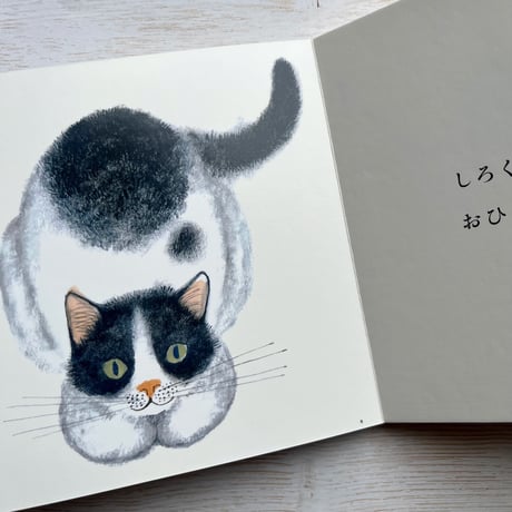 ねこ ねこ ねこちゃん