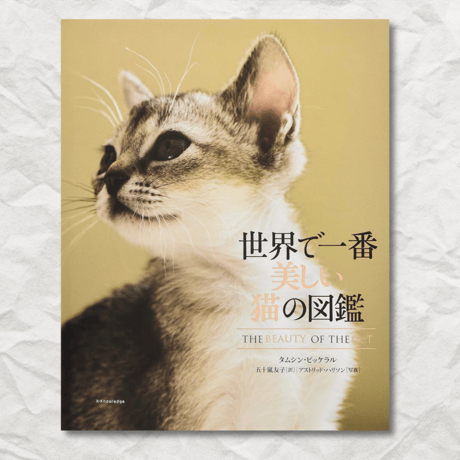 necoya books web store