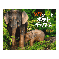 【8月16日(日)】夏休みボルネオ教室「森の大切さを知ろう！」
