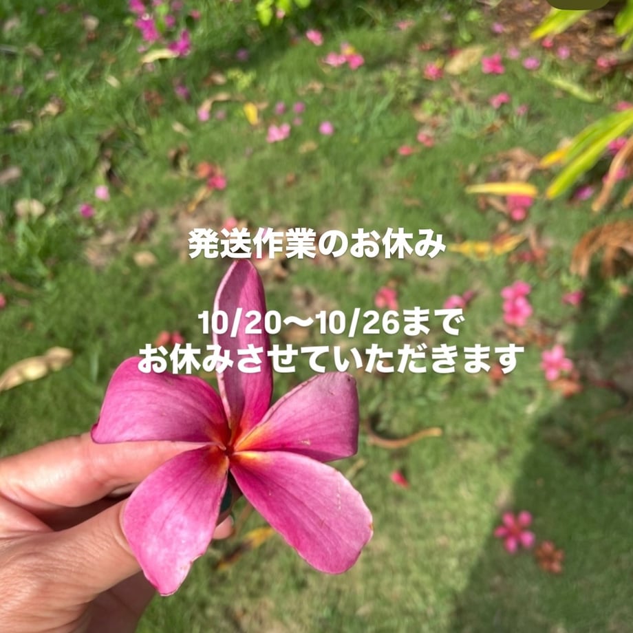 6a9a1face14cf87070a47191