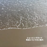 ショッピングガイド