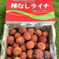 中国産 海南妃子笑 無核 荔枝 2kg 種無しライチ 新鮮荔枝 奶雞 宝石 フルーツ 生ライチ 夏限定 甘い ライチ 果物【冷藏便】