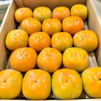 和歌山産 無核柿 大きめ 3Lサイズ 4玉 6玉 10玉 28玉 セット新鮮果物 甘い柿 日本国産 かき 柿子 フルーツ【常温便】