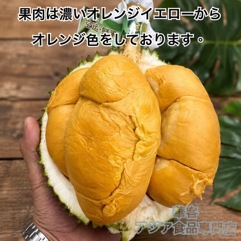 6a6f2e3207e36700ade9480c