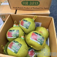 泰國產 文旦柚子 5kg 10kg 白柚 柚子 タイ産 ポメロ グリーンポメロ 文旦 ザボン 南国フルーツ 柑橘 果物 爽やかな甘さ ジューシー ぶんたん