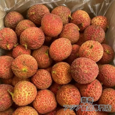中国産 海南妃子笑 無核 荔枝 2kg 種無しライチ 新鮮荔枝 奶雞 宝石 フルーツ 生ライチ 夏限定 甘い ライチ 果物【冷藏便】