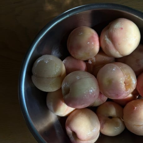 晩夏のティータイムセット