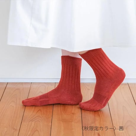 【箱折り畳んで発送】ケアソクととのえるベーシック2026.秋限定カラー