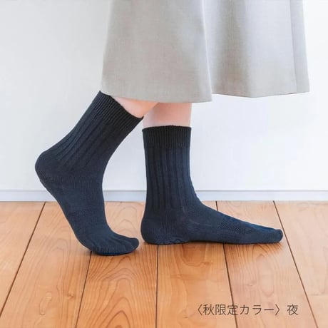 【箱折り畳んで発送】ケアソクととのえるベーシック2026.秋限定カラー