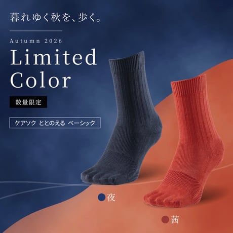 【箱折り畳んで発送】ケアソクととのえるベーシック2026.秋限定カラー