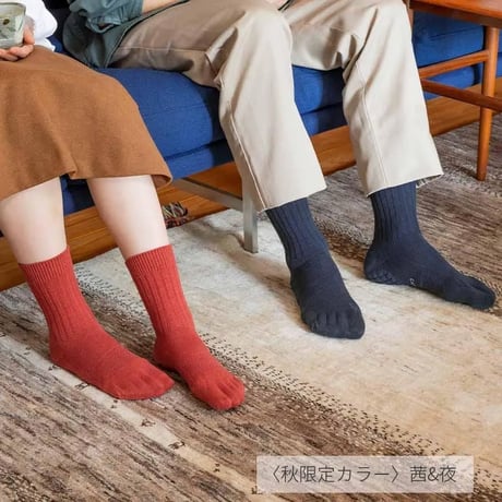 【箱折り畳んで発送】ケアソクととのえるベーシック2026.秋限定カラー