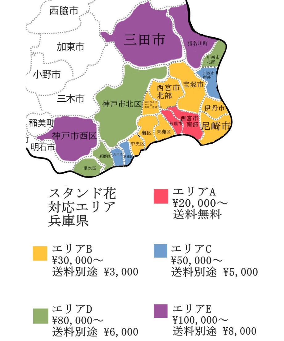 6337a671f80f1e1e8d610491
