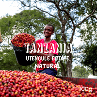 TANZANIA Utengule Estate　タンザニア ウテングレ農園 ナチュラル
