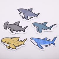 BIG防水ステッカー【サメ】